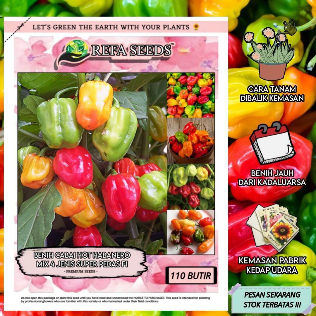 Daftar Habanero Terjamin: Pilihan Terbaik untuk Anda!